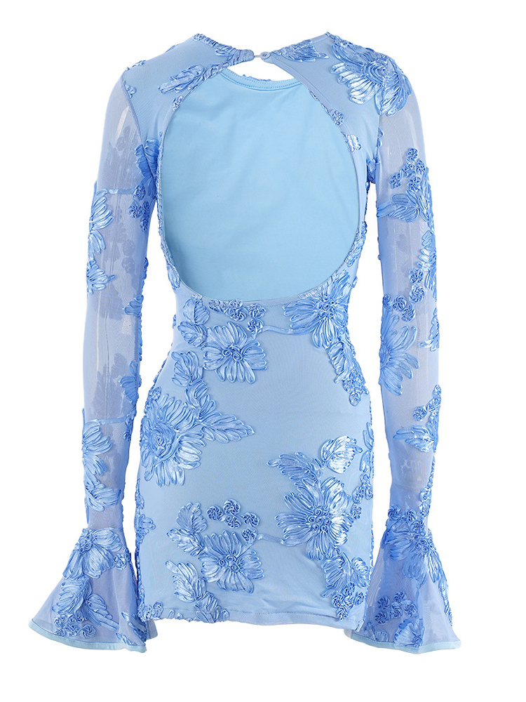 Beyprern Glam Backless Rose Pi - Zara Summer Clothing For Women のレビューと価格